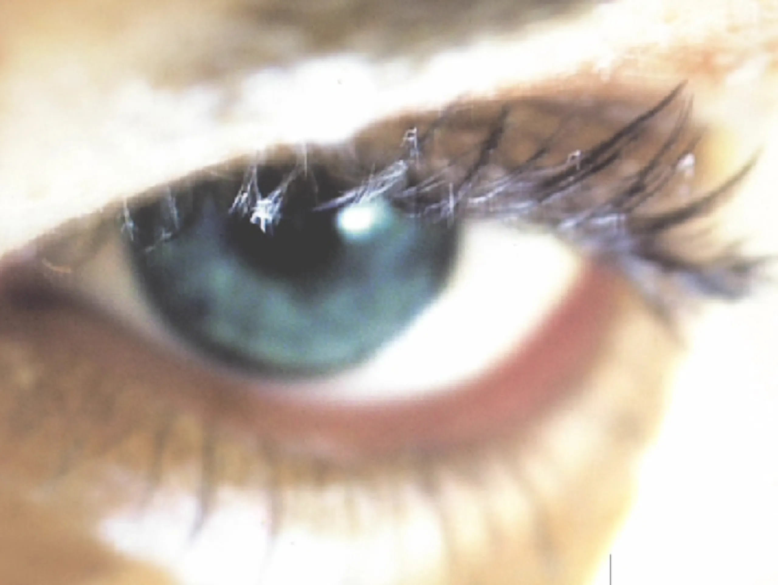 Still from Bianca Wickinghoffs Video Seele