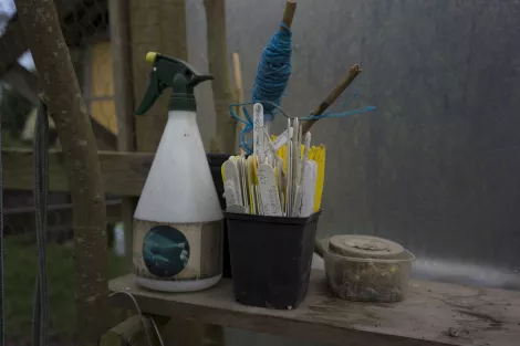 Some tools at the greenhouse at the permaculture The Hollies in Ireland Some tools at the greenhouse at the permaculture The Hollies in Ireland