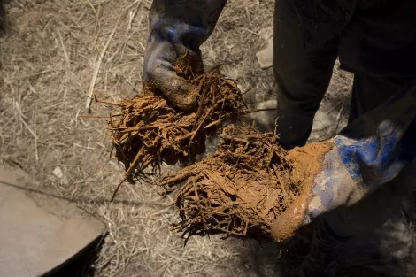 Comparison of different soil and its clay content Comparison of different soil and its clay content
