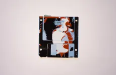 silk screened 3.5" floppy disk - artwork - from The Ladie series silk screened 3.5" floppy disk - artwork - from The Ladie series